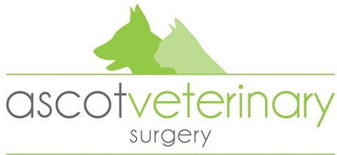 Ascot Veterinary Surgery - Vets Perth 0