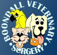Boondall Veterinary Surgery - Vets Perth