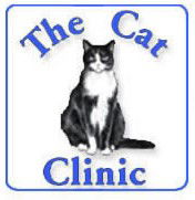 Mount Gravatt QLD Vets Perth