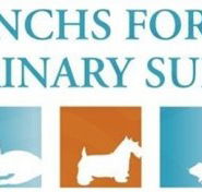 Frenchs Forest Veterinary Surgery - Vets Perth