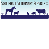 Lower Turners Marsh TAS Vets Perth