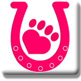 North West Animal Hospital  Clinic - Vets Perth
