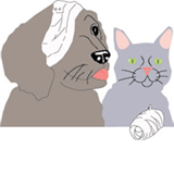 Eastern Shore Veterinary Hospital - Vets Perth