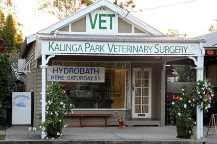 Lutwyche QLD Vets Perth