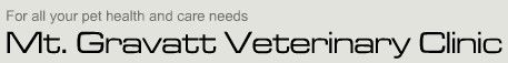 Mt Gravatt Veterinary Clinic - Vets Perth 0