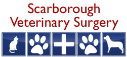 Scarborough Veterinary Surgery - Vets Perth 0