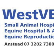Westvets Animal Hospitals - Vets Perth