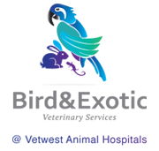 Bird  Exotic Veterinary Services - Perth - Vets Perth