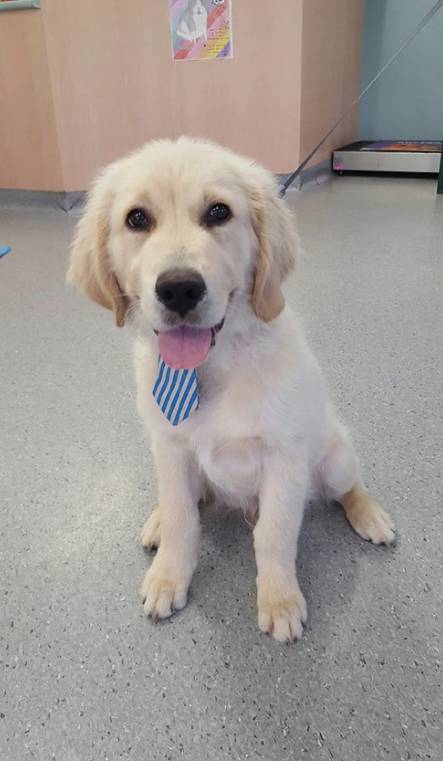 Hubert Maxine - Vets Perth 1
