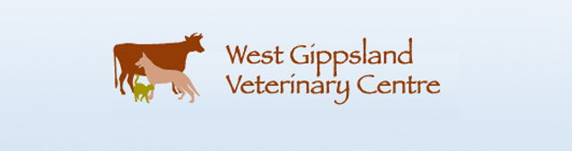 Swifts Creek VIC Vets Perth