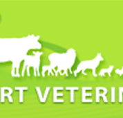 Westernport Veterinary Clinics - Vets Perth