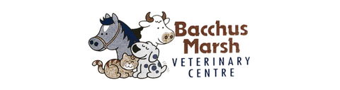 Bacchus Marsh Veterinary Centre - Vets Perth 0