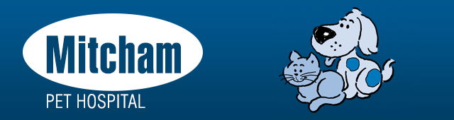 Mitcham VIC Vets Perth