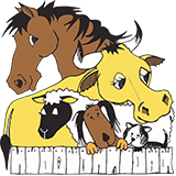 Stawell Veterinary Clinic - Vets Perth