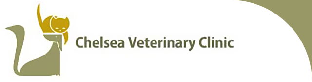 Edithvale VIC Vets Perth