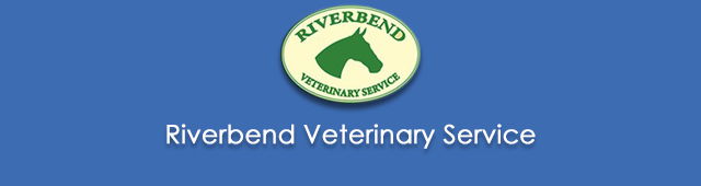 Hillston NSW Vets Perth