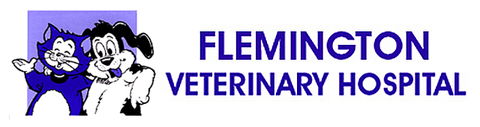 Flemington Veterinary Hospital - Vets Perth 0