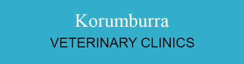 Korumburra Veterinary Clinic - Vets Perth 0