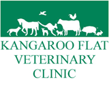 Book Big Hill Accommodation Vacations Vets Perth Vets Perth