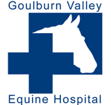 Goulburn Valley Equine Hospital - Vets Perth