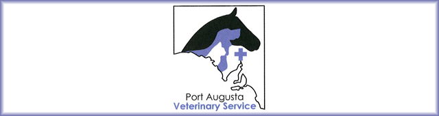 Leigh Creek SA Vets Perth