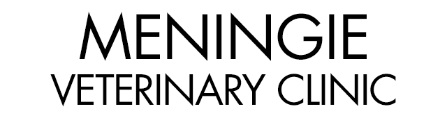 Meningie Veterinary Clinic - Vets Perth