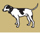 Motter Catherine - Vets Perth