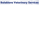 Dalkey SA Vets Perth