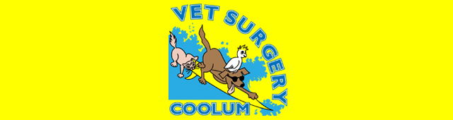 Coolum Beach QLD Vets Perth