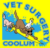 Coolum Veterinary Surgery - Vets Perth