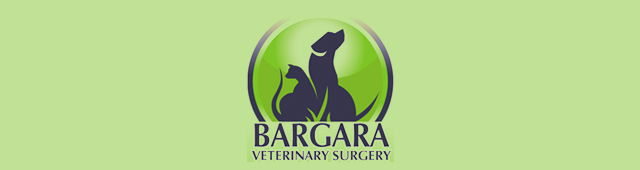 Fairymead QLD Vets Perth