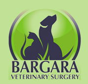 Bargara Veterinary Surgery - Vets Perth