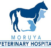 Moruya Veterinary Hospital - Vets Perth