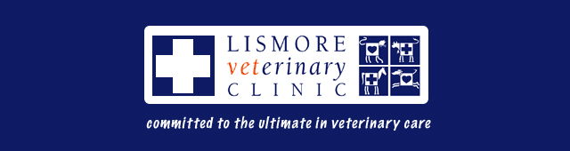 Clovass NSW Vets Perth