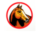 Equine Veterinary And Dental Services - Vets Perth