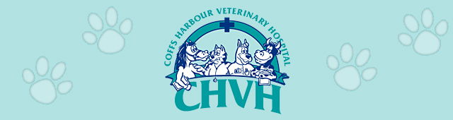 Brooklana NSW Vets Perth