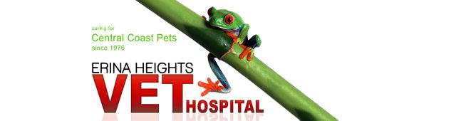 Wamberal NSW Vets Perth