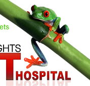 Erina Heights Veterinary Hospital - Vets Perth