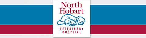 North Hobart Veterinary Hospital - Vets Perth 0