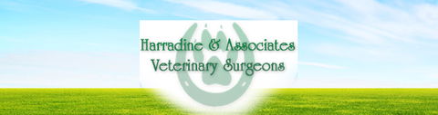 Harradine & Associates - Vets Perth 0