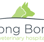 BONG BONG VETerinary Hospital - Vets Perth