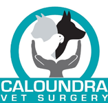 Caloundra Vet - Vets Perth
