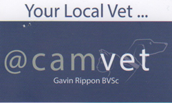  Vets Perth