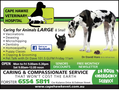 Cape Hawke Veterinary Hospital - Vets Perth 1