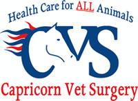 Capricorn Vet Surgery