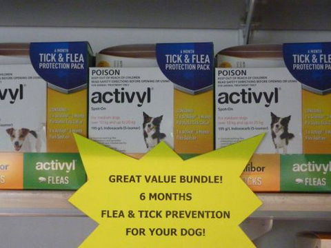 Cooroy Veterinary Surgery - Vets Perth 4