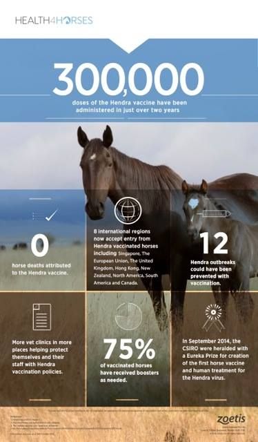 Cooroy Veterinary Surgery - Vets Perth 5