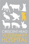 Gladstone ACT Vets Perth