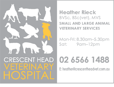 Crescent Head Veterinary Hospital - Vets Perth 1
