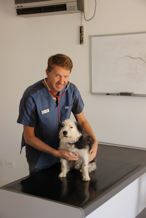 Desert Oaks Veterinary Clinic Pty Ltd - Vets Perth 4